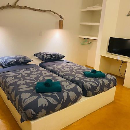 The Dive Hut - Boutique Apartments Kralendijk na wyspie Bonaire Zewnętrze zdjęcie