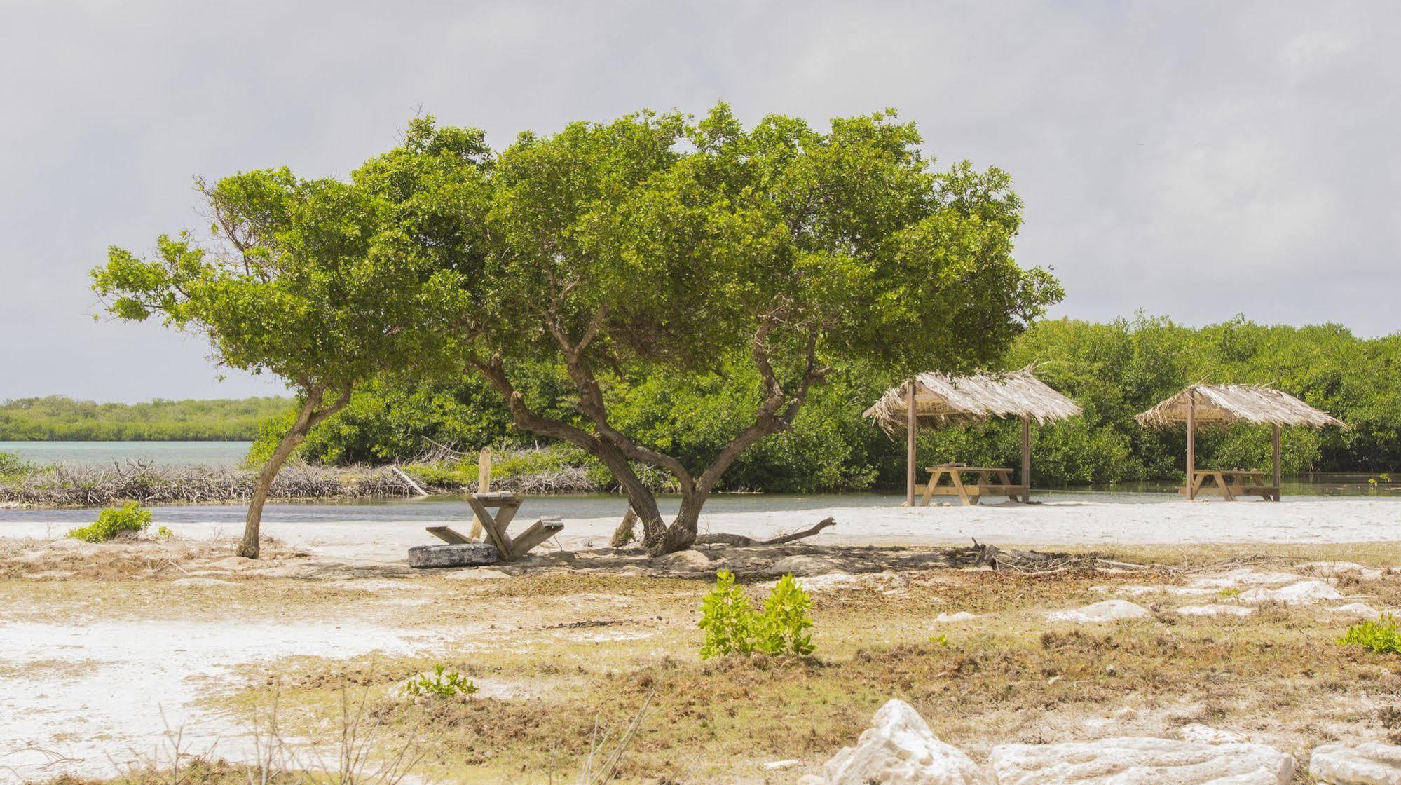 The Dive Hut - Boutique Apartments Kralendijk na wyspie Bonaire Zewnętrze zdjęcie