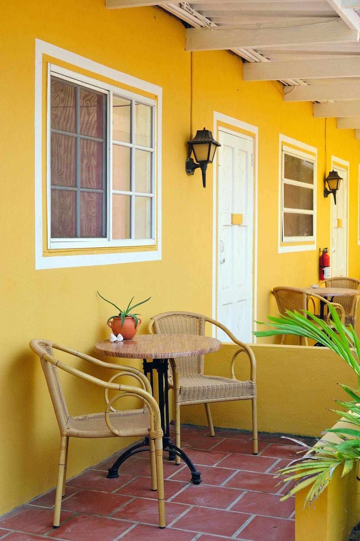 The Dive Hut - Boutique Apartments Kralendijk na wyspie Bonaire Zewnętrze zdjęcie