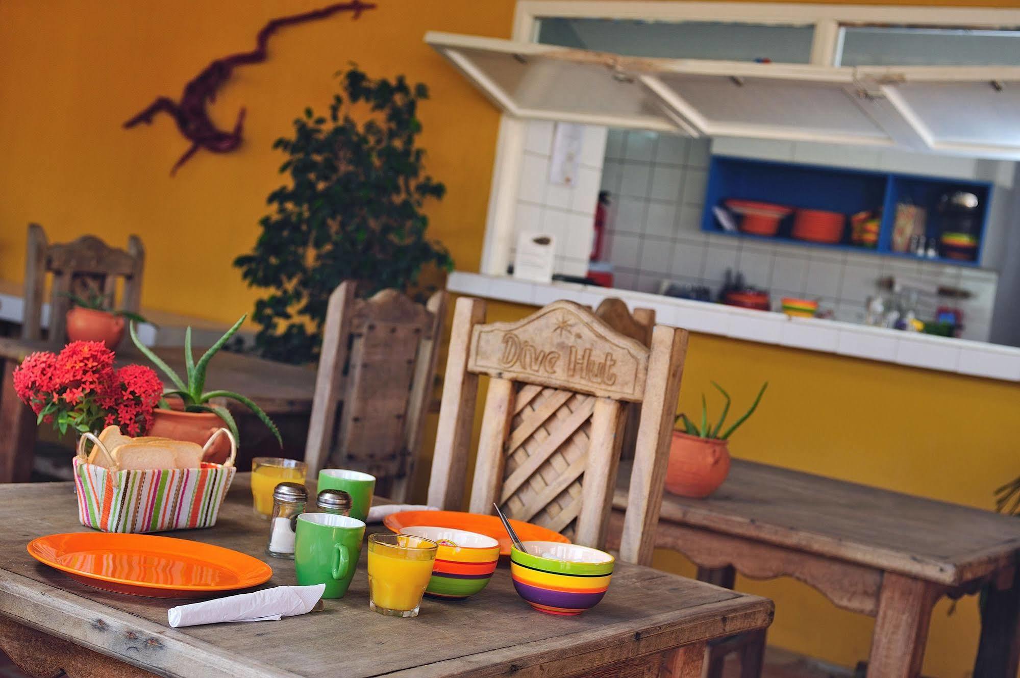 The Dive Hut - Boutique Apartments Kralendijk na wyspie Bonaire Zewnętrze zdjęcie